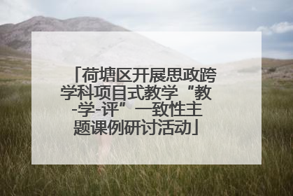 荷塘区开展思政跨学科项目式教学“教-学-评”一致性主题课例研讨活动