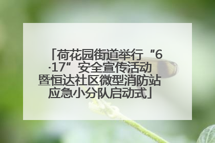 荷花园街道举行“6·17”安全宣传活动暨恒达社区微型消防站应急小分队启动式