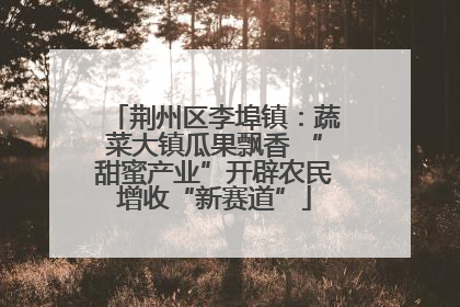 荆州区李埠镇：蔬菜大镇瓜果飘香 “甜蜜产业”开辟农民增收“新赛道”