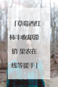 草莓西红柿丰收却滞销 果农在线等援手