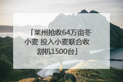 莱州抢收64万亩冬小麦 投入小麦联合收割机1500台