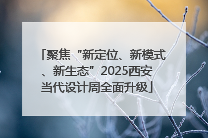 聚焦“新定位、新模式、新生态”2025西安当代设计周全面升级