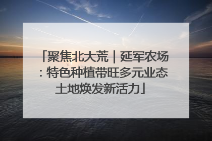 聚焦北大荒｜延军农场：特色种植带旺多元业态 土地焕发新活力