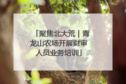 聚焦北大荒｜青龙山农场开展财审人员业务培训
