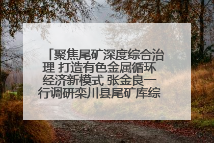 聚焦尾矿深度综合治理 打造有色金属循环经济新模式 张金良一行调研栾川县尾矿库综合治理工作