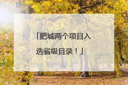 肥城两个项目入选省级目录！