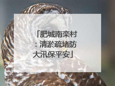 肥城南栾村：清淤疏堵防大汛保平安