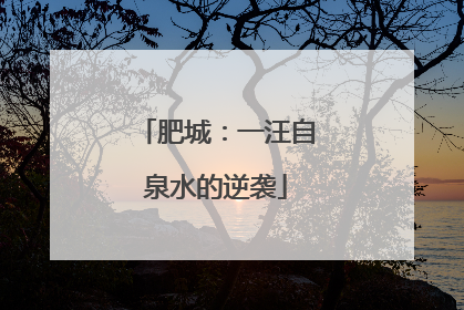肥城：一汪自泉水的逆袭