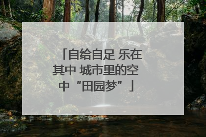 自给自足 乐在其中 城市里的空中“田园梦”