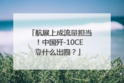 航展上成流量担当！中国歼-10CE靠什么出圈？