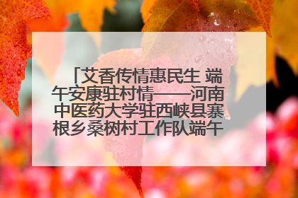 艾香传情惠民生 端午安康驻村情——河南中医药大学驻西峡县寨根乡桑树村工作队端午中医惠民记