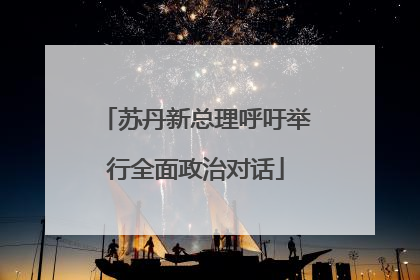 苏丹新总理呼吁举行全面政治对话