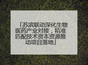 苏滨联动深化生物医药产业对接，精准匹配技术资本资源推动项目落地