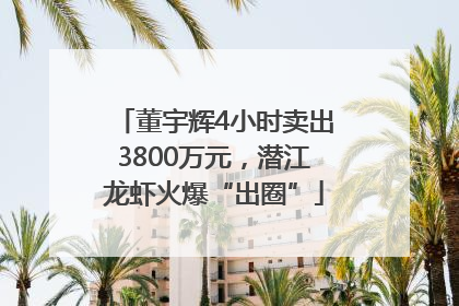 董宇辉4小时卖出3800万元，潜江龙虾火爆“出圈”