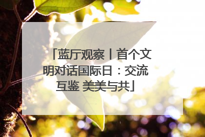 蓝厅观察丨首个文明对话国际日：交流互鉴 美美与共