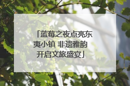蓝莓之夜点亮东夷小镇 非遗雅韵开启文旅盛宴