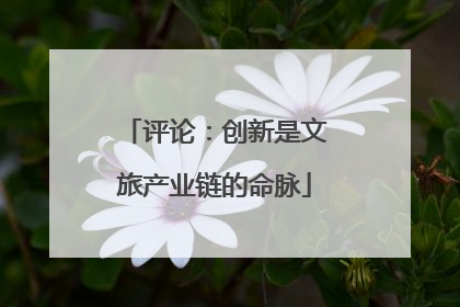 评论：创新是文旅产业链的命脉