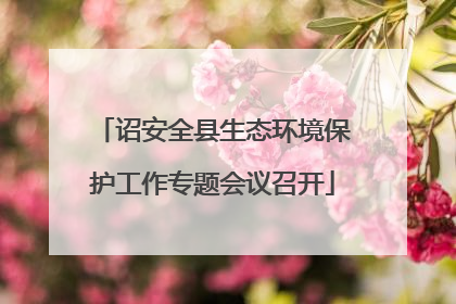 诏安全县生态环境保护工作专题会议召开