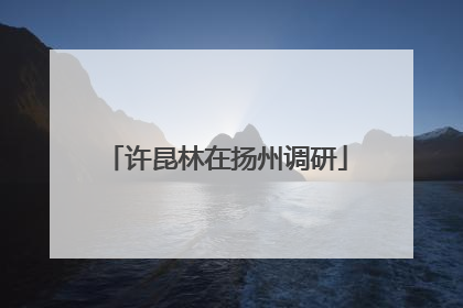 许昆林在扬州调研