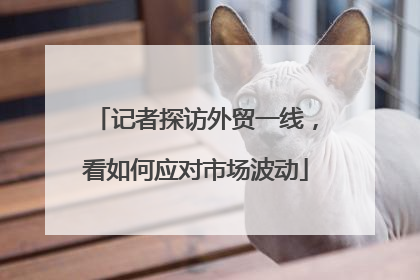 记者探访外贸一线，看如何应对市场波动