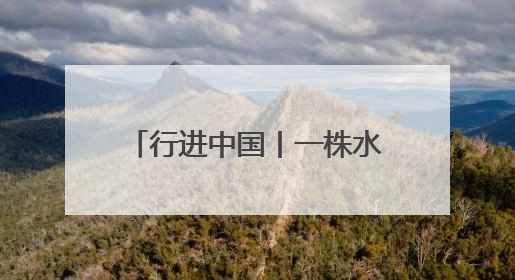 行进中国丨一株水草的“点金术”