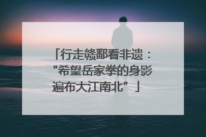 行走赣鄱看非遗：“希望岳家拳的身影遍布大江南北”