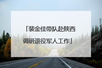 裴金佳带队赴陕西调研退役军人工作