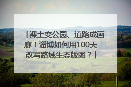 裸土变公园、道路成画廊！淄博如何用100天改写路域生态版图？