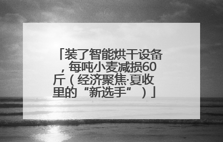 装了智能烘干设备，每吨小麦减损60斤（经济聚焦·夏收里的“新选手”）