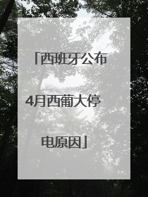 西班牙公布4月西葡大停电原因
