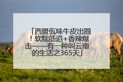 西盟佤味牛皮出圈！软糯筋道+香辣爆击——有一种叫云南的生活之365天