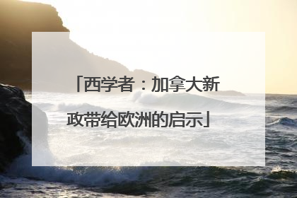 西学者：加拿大新政带给欧洲的启示