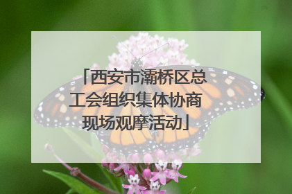 西安市灞桥区总工会组织集体协商现场观摩活动