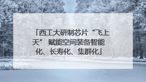 西工大研制芯片“飞上天” 赋能空间装备智能化、长寿化、集群化