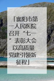 襄阳市第一人民医院召开“七一”表彰大会 以高质量党建引领新征程