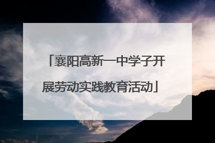 襄阳高新一中学子开展劳动实践教育活动