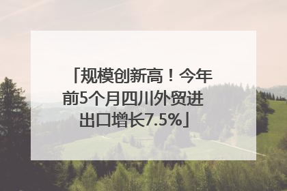 规模创新高！今年前5个月四川外贸进出口增长7.5%