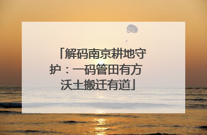 解码南京耕地守护：一码管田有方 沃土搬迁有道