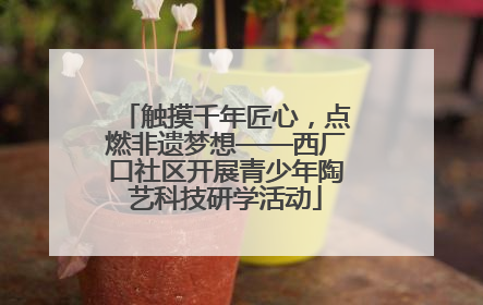 触摸千年匠心，点燃非遗梦想——西厂口社区开展青少年陶艺科技研学活动
