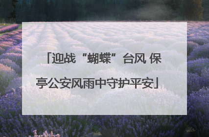 迎战“蝴蝶”台风 保亭公安风雨中守护平安