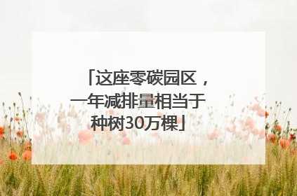 这座零碳园区，一年减排量相当于种树30万棵
