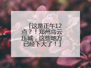 这是正午12点？！郑州乌云压城，这些地方已经下大了！