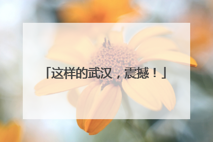 这样的武汉，震撼！