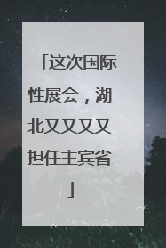 这次国际性展会，湖北又又又又担任主宾省