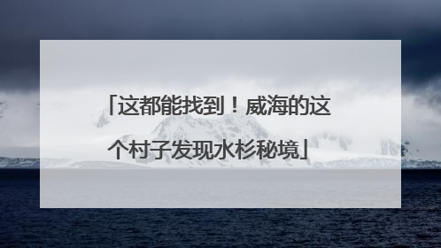 这都能找到！威海的这个村子发现水杉秘境