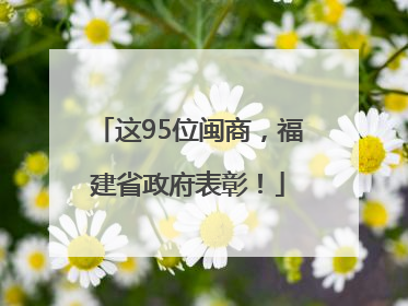这95位闽商，福建省政府表彰！
