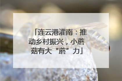 连云港灌南：推动乡村振兴，小蘑菇有大“蘑”力