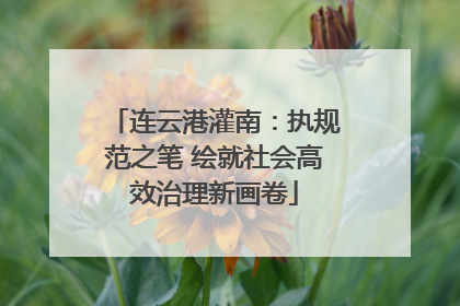 连云港灌南：执规范之笔 绘就社会高效治理新画卷