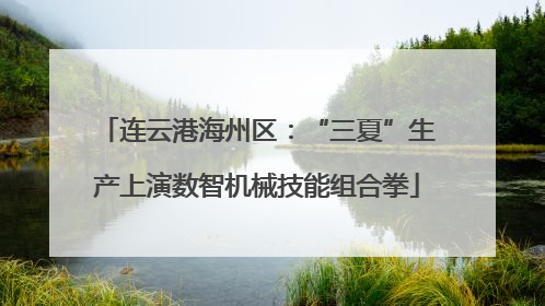 连云港海州区：“三夏”生产上演数智机械技能组合拳