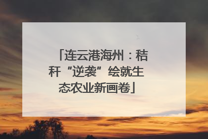 连云港海州：秸秆“逆袭”绘就生态农业新画卷